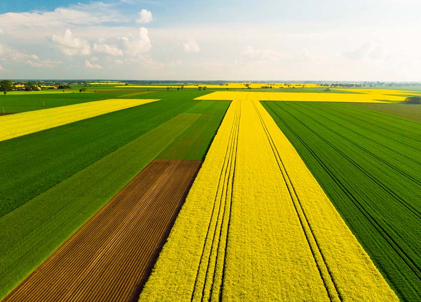 Saint-Laurent Pipeline (Agricultural engineering and agronomy)